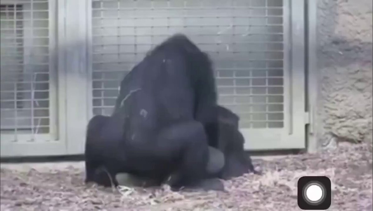 原来它们也是这样做的啊😅 