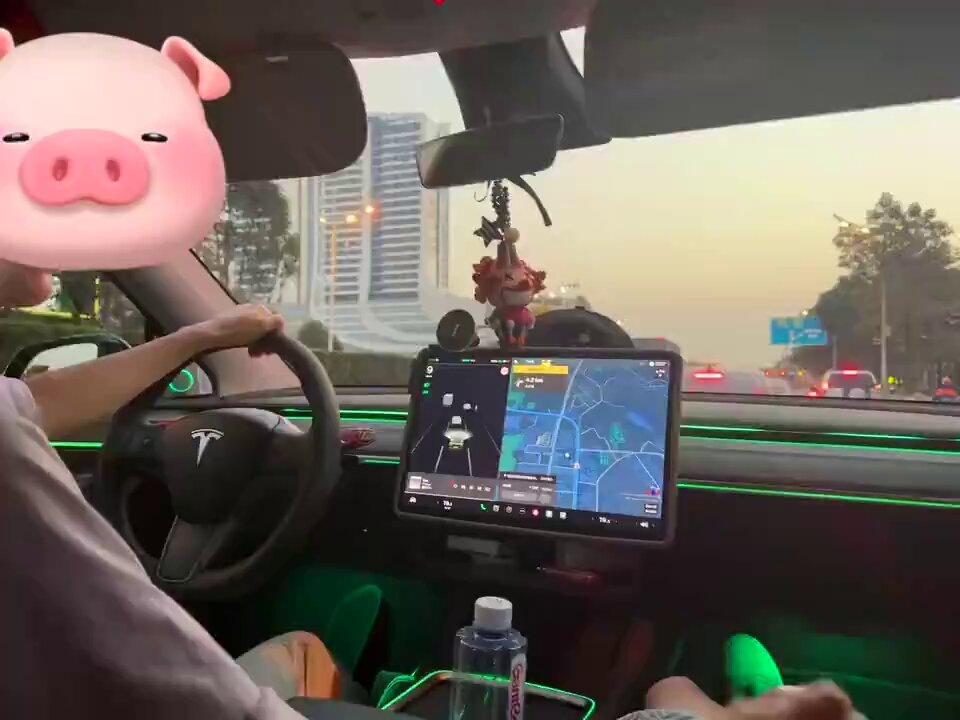 特斯拉车震！美女开车边撸管高潮喷射