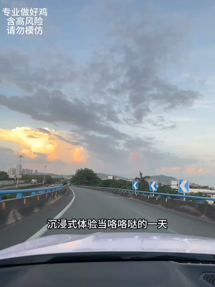 Un día en la vida de una gallina: ¡hasta las gallinas hacen vlogs! #VlogDeGallinas