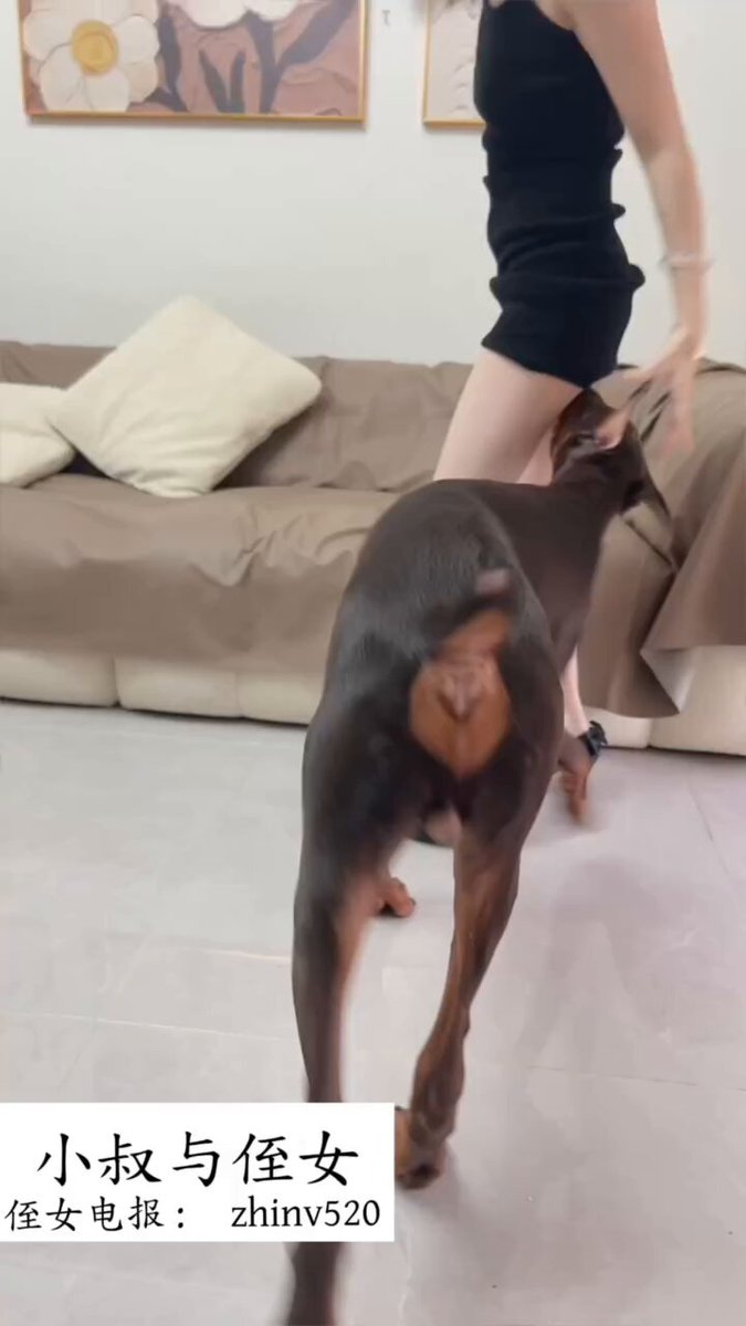 熙熙と彼女の犬[シーズン 5] 見ないと後悔するよ、中出しされる人🈵🈵、小姐🦮は何人かの男よりも強い… 