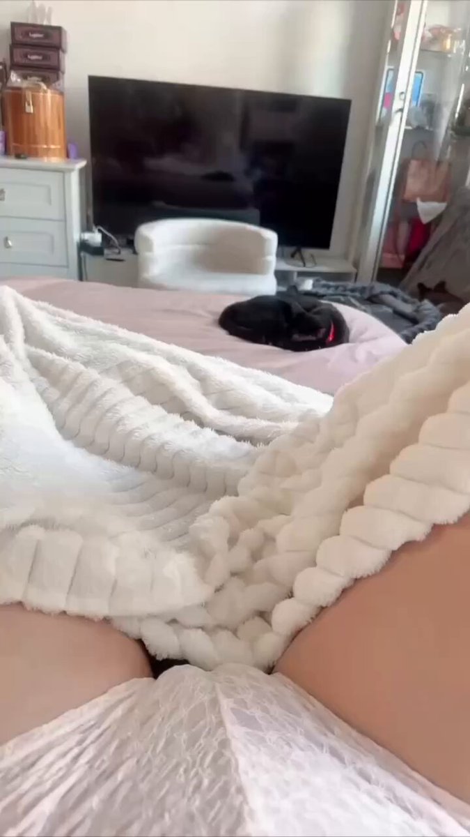 我说我家的猫喜欢躺我双腿之间，这回你们信了吧？

还是说你们只顾着看形状了… 