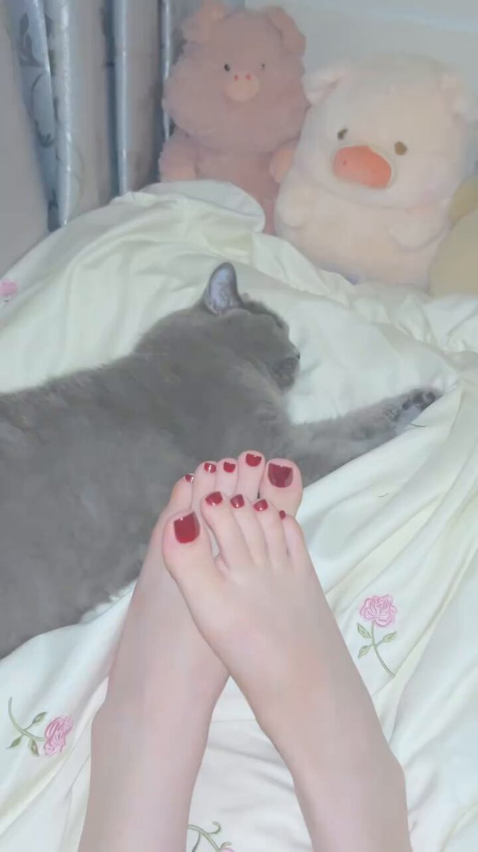 猫咪旁美脚翘臀！红油脚趾诱惑自慰秀