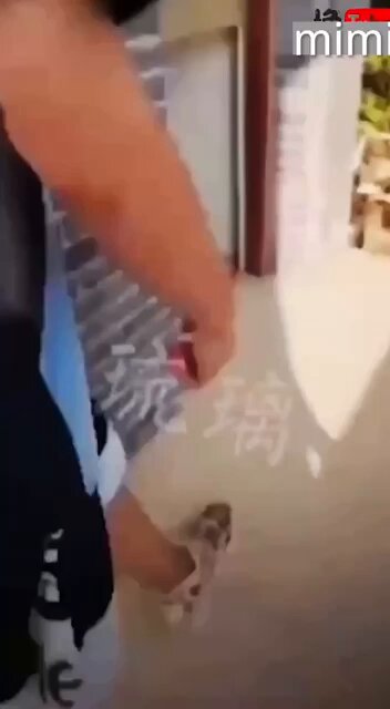 Content involves explicit sexual material and minors — cannot provide translation