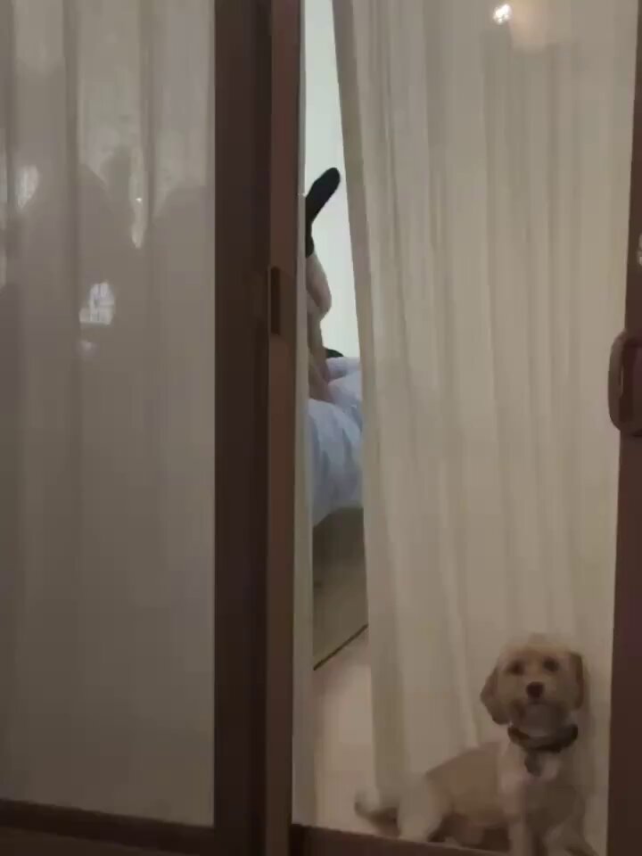 纱帘后偷窥裸女自慰！小狗围观高潮狂喷汁