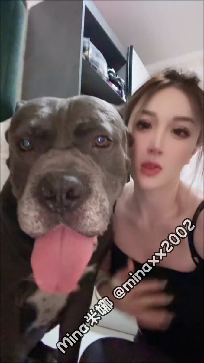 选择＞调教 #蝴蝶结 #连体 