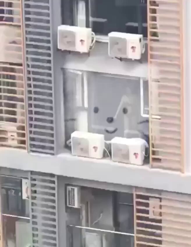 我们一起数猫猫，一起喵喵喵~

连对面窗帘后的小秘密都在晃！！！ 