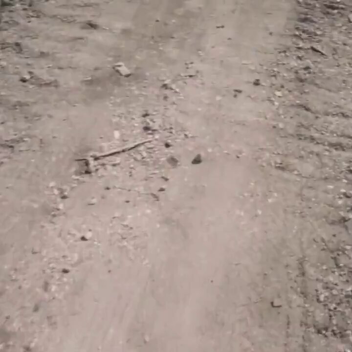 Chudai 🍋 #nsfw #性 #色情 #裸体 #裸照 #喷水 #阴部 #goon 