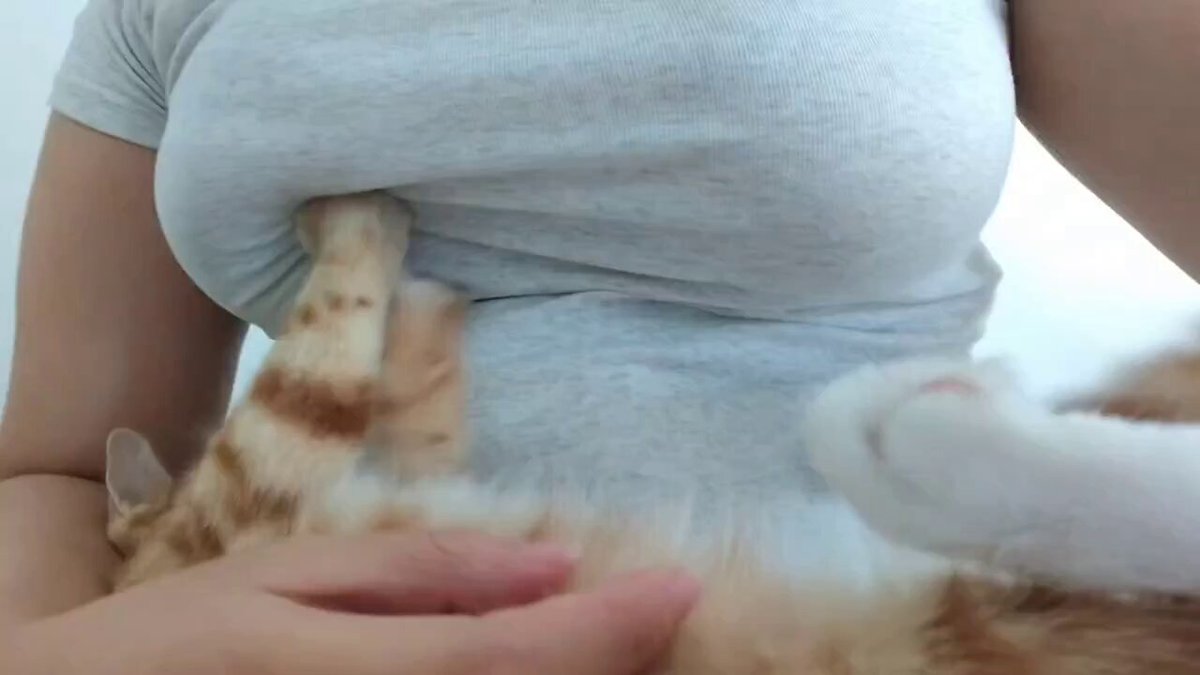 坏小猫，一点都不老实呢~ 