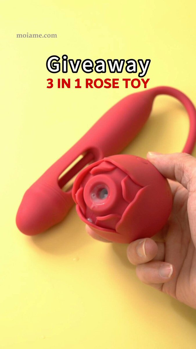 ✨ থ্যাঙ্কসগিভিং গিভওয়ে ✨ আপনাদের সকলের অসাধারণ সহযোগিতার জন্য ধন্যবাদ জানাতে, আমরা এই মরসুমে আমাদের আনন্দের খেলনাটি দিচ্ছি! 🎁 3-ইন-1 ...