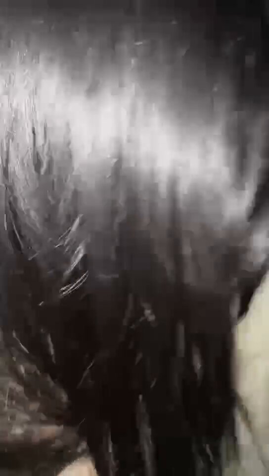 🐑海边海景房 #荆州 