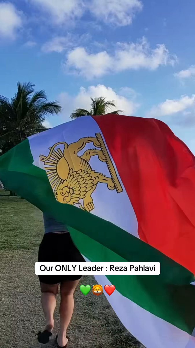 ビーチの旗を振るイラン美人、ヒップを揺らす誘惑。黒ストッキングのミニスカートが谷間を露出させ、激しく揺れる。