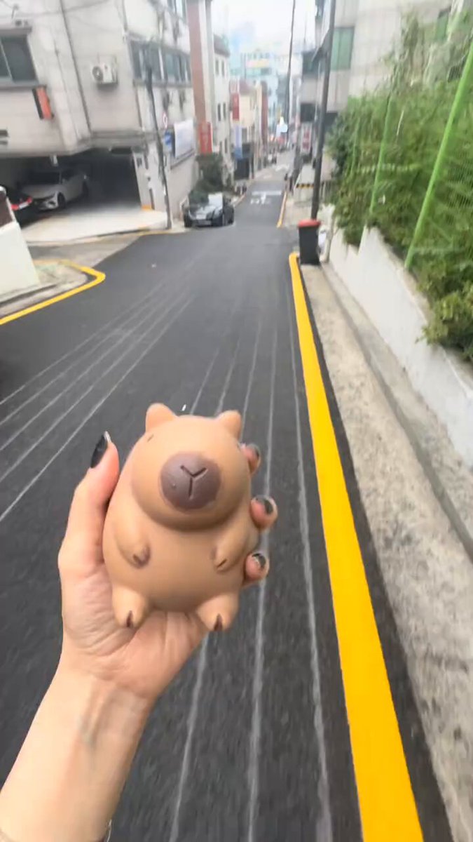 街頭のビッチが巨乳ハムスターおもちゃで遊ぶ！超リアルな乳房をつねりっぱなし