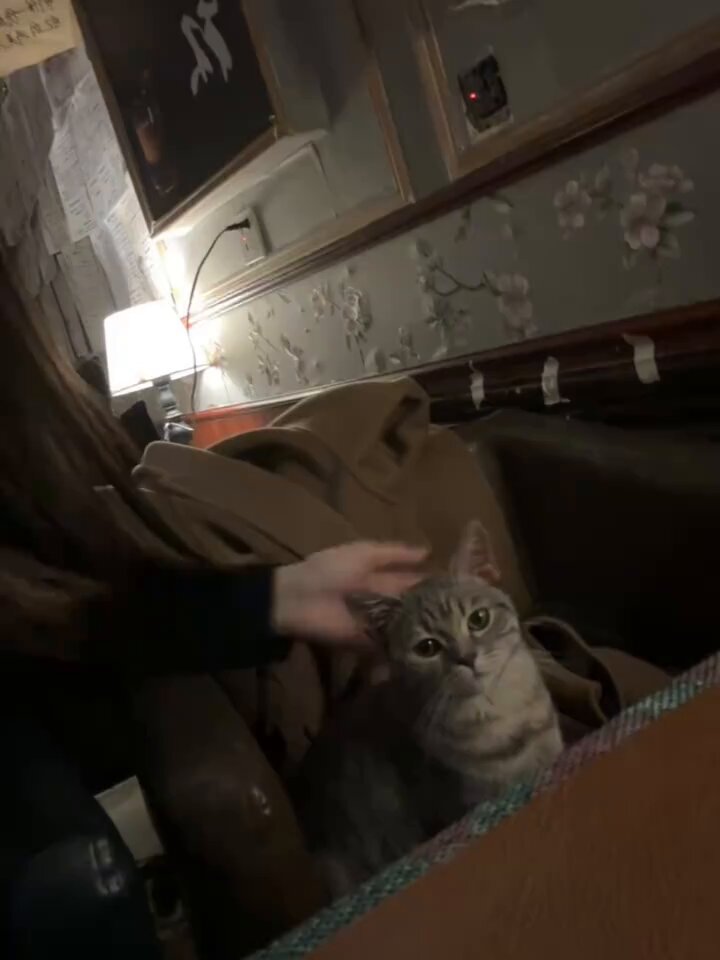 Du siehst so süß aus wie es ist ☺️
