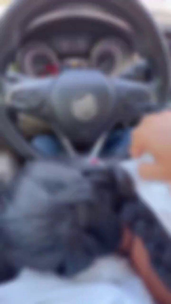 车震大屁股白衣美女翘臀摇晃诱惑狂摸