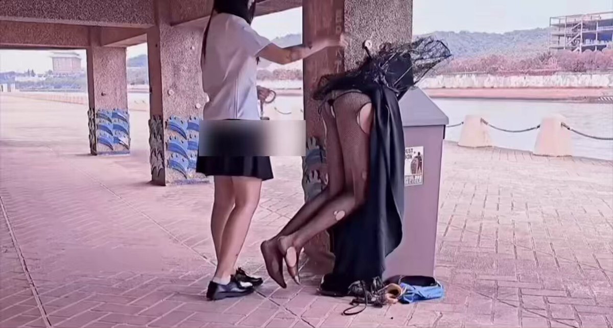 被主人抛弃的…… 