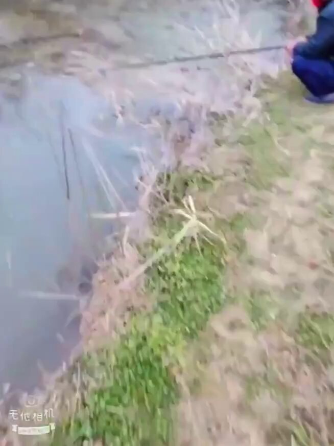 田野野战！大奶妹子脱衣揉胸骑巨棒狂插高潮