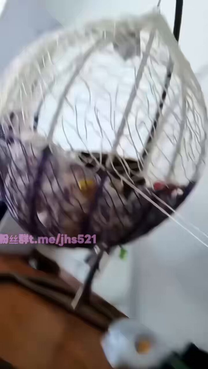 吊篮捆绑裸体少女！巨乳晃荡绳索调教高潮喷水