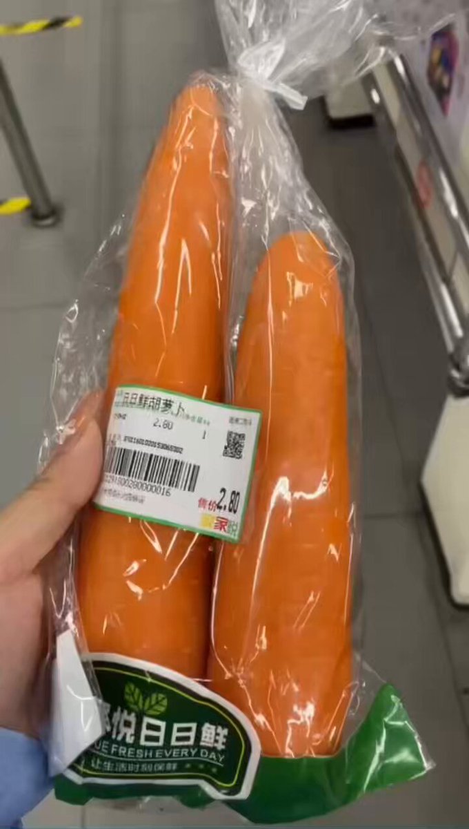 Comprei cenouras no supermercado e me escondi secretamente no banheiro público para colocá-las no vaso sanitário ao lado. Sempre entrava ...