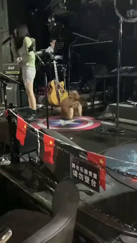 ステージで美女歌手の熱いダンス！プリッとしたヒップが揺れ、誘惑が弾けるワイルドなパフォーマンス