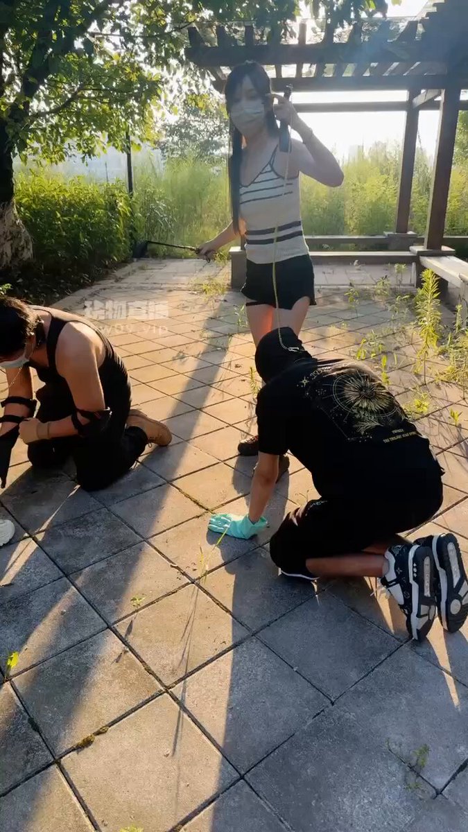 ই চেন ডাবল এস ডাবল এম - আউটডোর ডগ ওয়াকিং মোর 