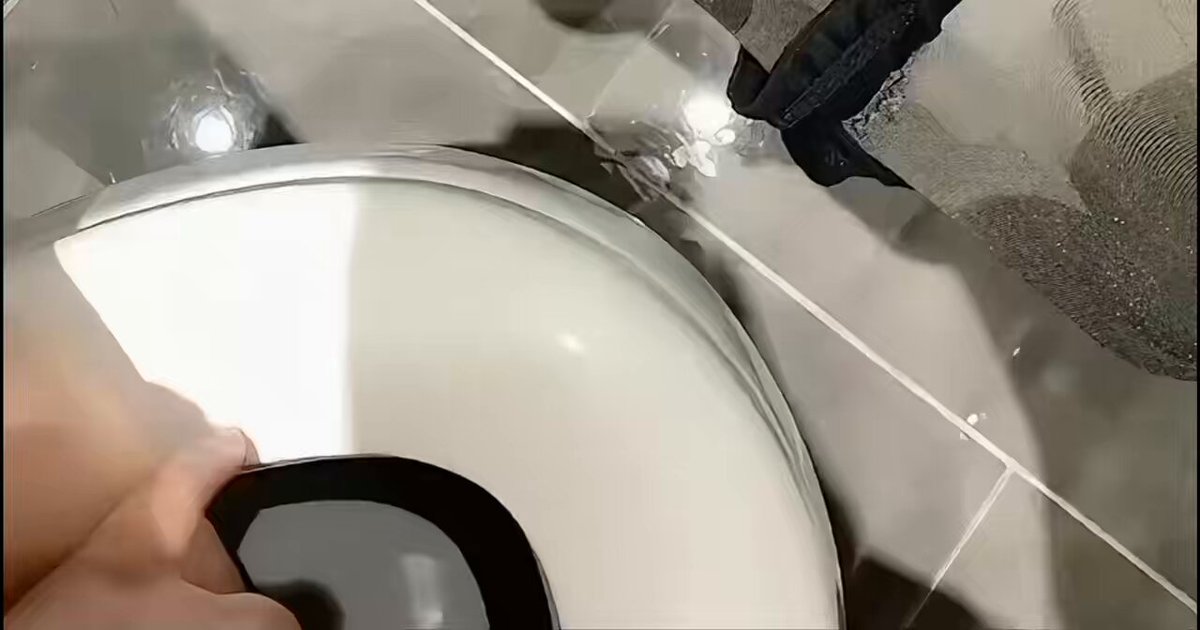 不许说我是烧货！ 