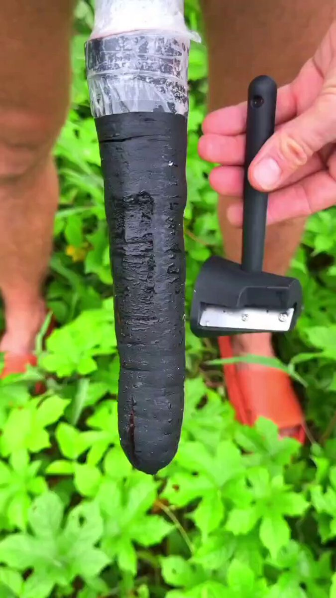 Outdoor Giant Black Radish Masturbation! Woman Peels and Furiously Plugs Her Tender Pussy, Squirting in Ecstasy