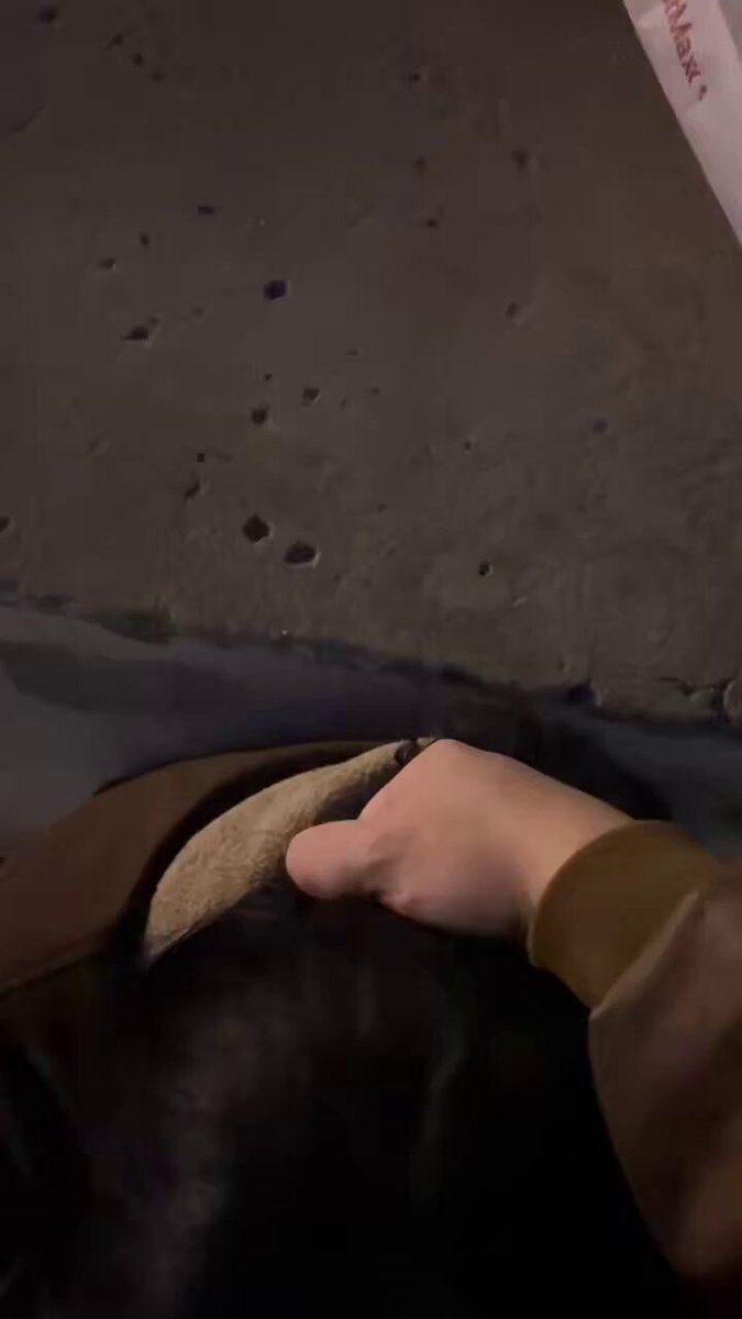 地下停车场深夜猛男扒衣狂摸黑狗鸡巴！