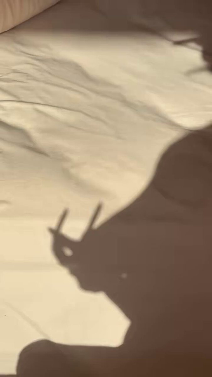 冬天 久违的阳光刚好 