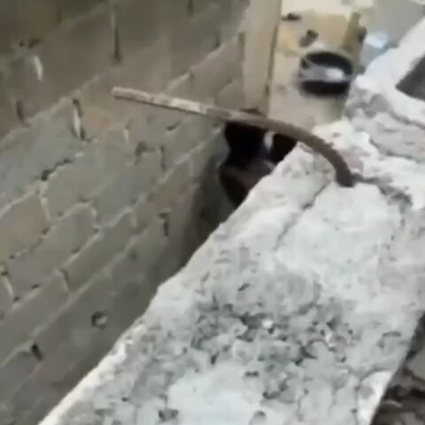 𝐂𝐡𝐮𝐝𝐚𝐢..................💗 