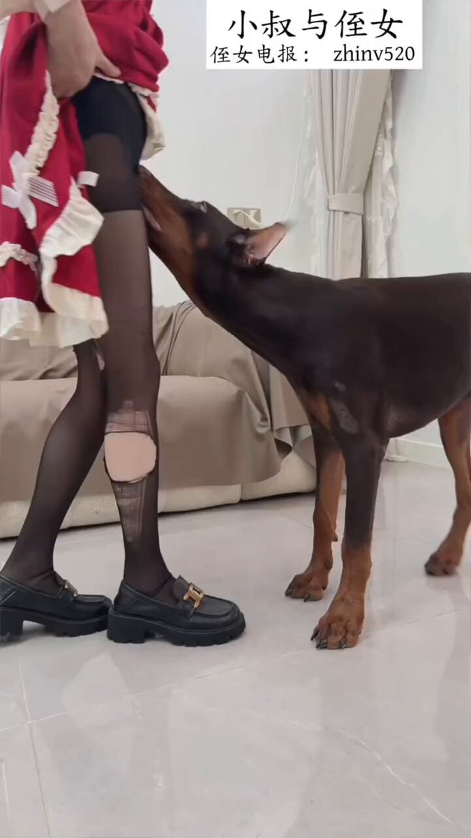 Xixi et son chien de compagnie (Saison 11) Je suis sur le point d&#39;être déchirée par le chien, les grosses boules vont à nouveau éclat...