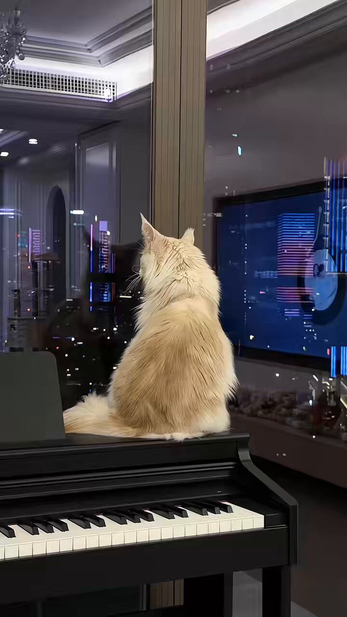 Você pode me ajudar a determinar se este golden retriever é de raça pura? O vendedor disse que ele ficará igual aos outros cães quando cr...