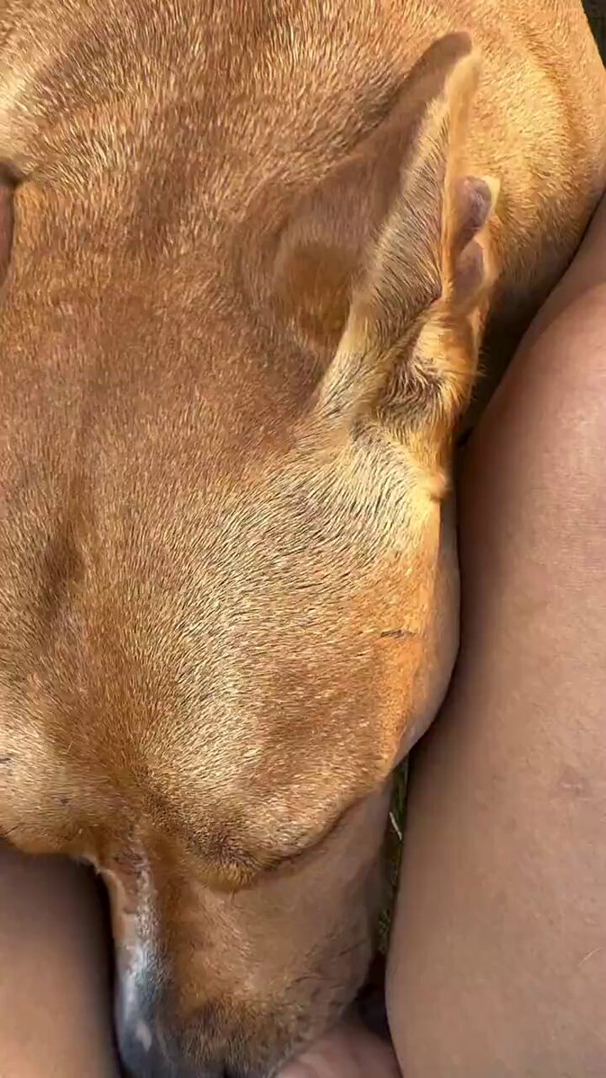 美女赤脚勾引大狗狂舔脚趾高潮连连！