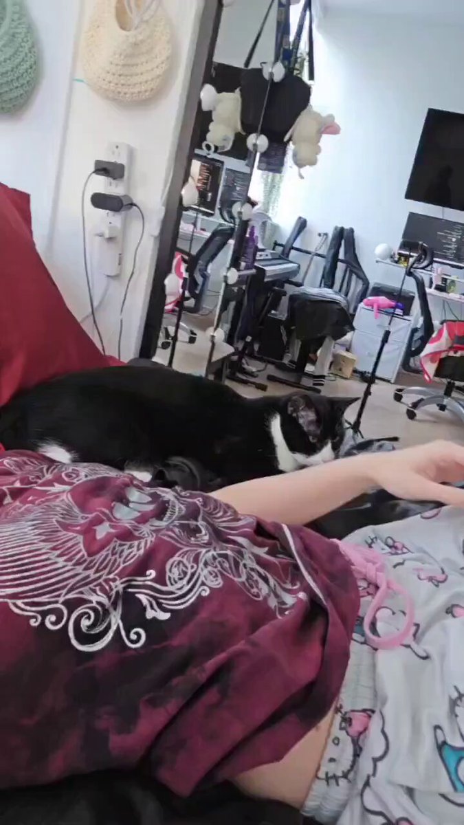 引きこもりの女性がパジャマを下げてピンクのリボンでオナニー、黒猫がそばにいて超誘惑！