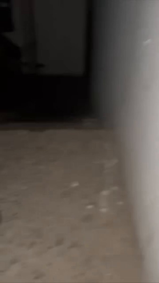 প্রথমবারের মতো খালি করিডোরে# 