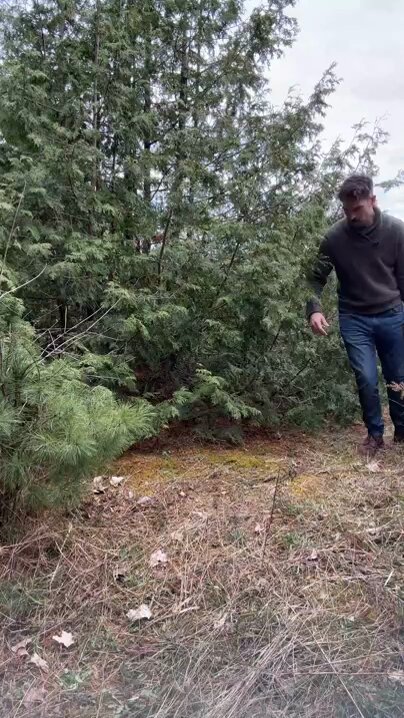 Tattooed Big-Butt Girl Bound in Woods - Wild Blowjob and Creampie