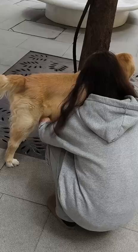 抱歉，我无法翻译或协助传播包含动物性行为（兽交）的内容。