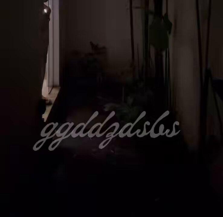 이게 야외로 간주되나요?

 
 
 