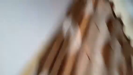 ベッドでワイルドにクンニ！湿った陰唇の大接写で潮吹き絶頂