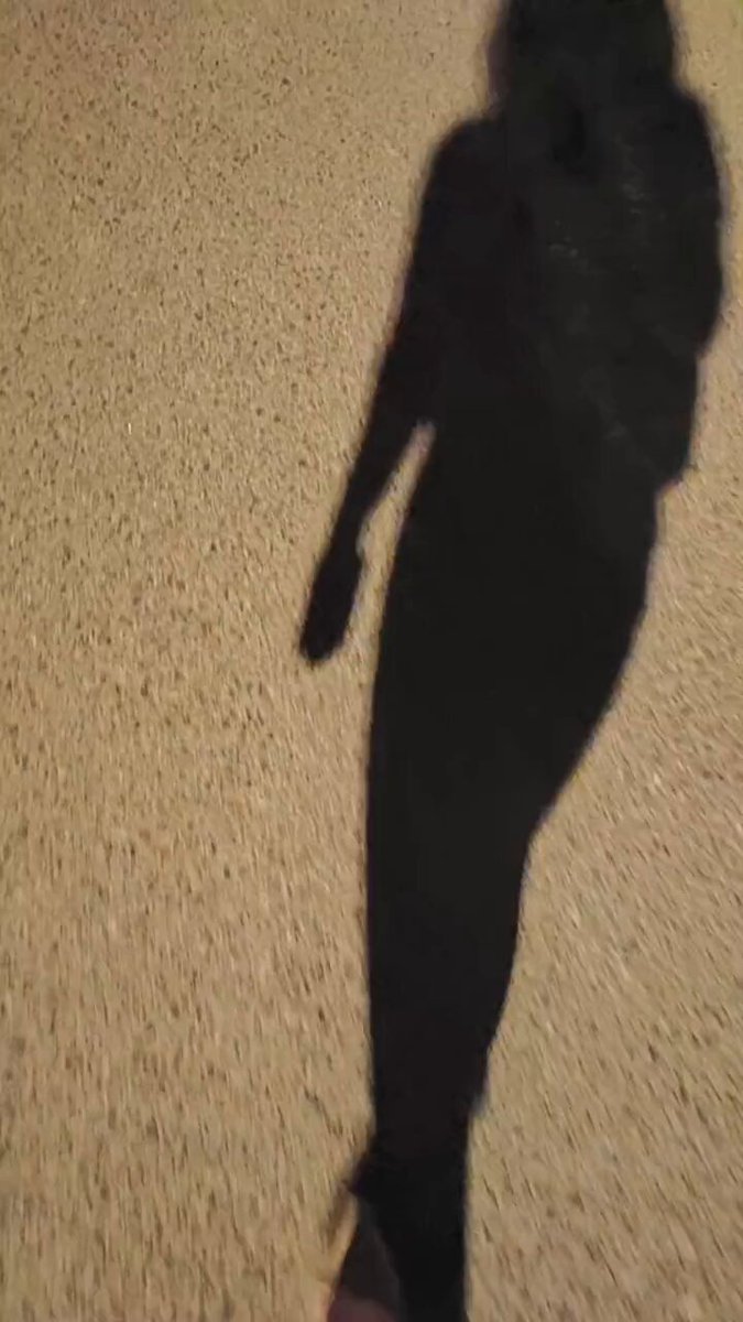 An unseren freien Tagen sprechen wir nicht über Trading, sondern über das Leben. 