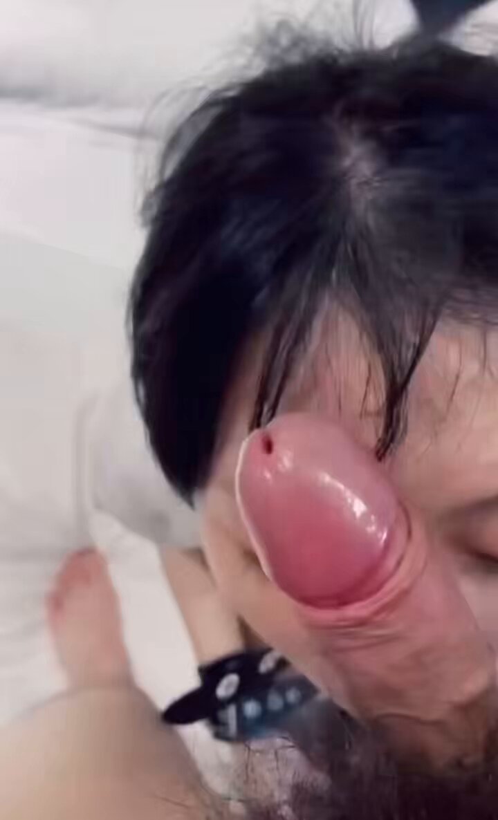 Ngayong gabi ako ay magiging isang mabuting maliit na aso at maglilingkod sa aking may-ari na nanggaling sa labas ng bayan. Hindi man niy...