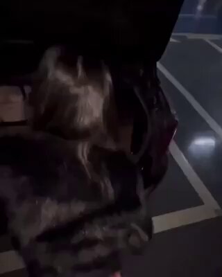 车内黑丝美女深喉口爆狂吞精液