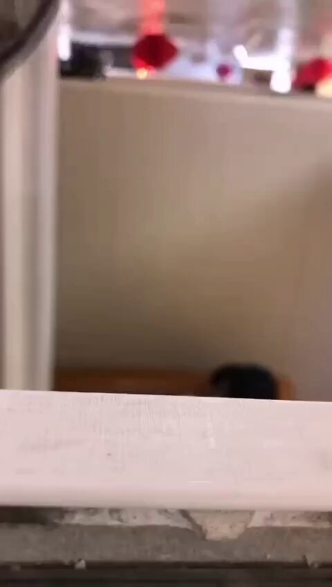 现场实况，火锅店直接开战。
赶紧看，马上删了
... 