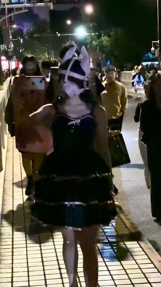 人类装扮成小狗，在万圣节这天大胆出街。
摄影： 
面具来自： 

 
 

 