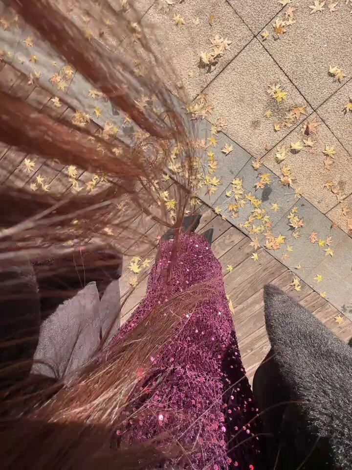 La réunion du gouvernement a révélé les grandes orientations pour 2021 : la poursuite de la répression contre les cryptomonnaies. N’espér...