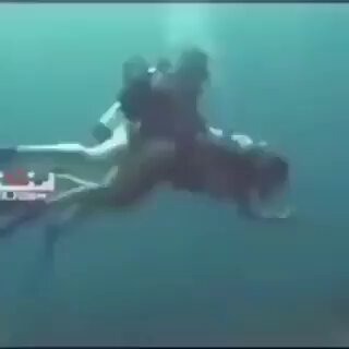 没点体力别硬上啊，一下不支就坠机了 