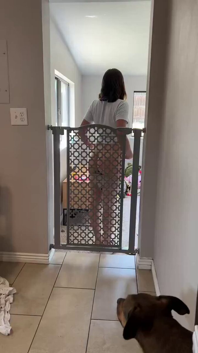 （動物との性的行為を含むため、詳細は削除されています）