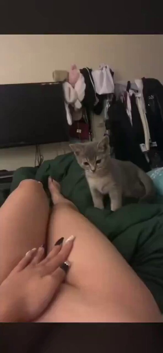 小猫咪你是没见过吗🙃这样看着我感觉太羞耻了 