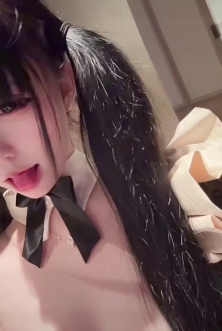 小狗会一直乖乖听话 