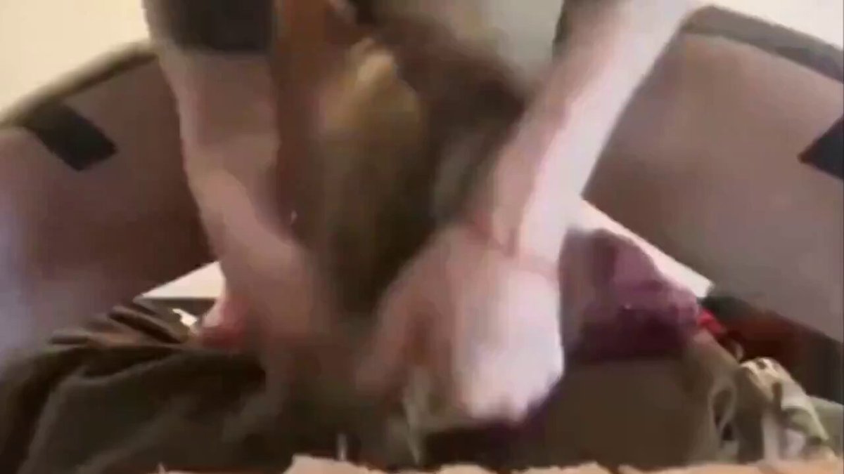 Chudai 

#nsfw #sex #porn #naked #nudes #hentai #squirt #pussy #goon 