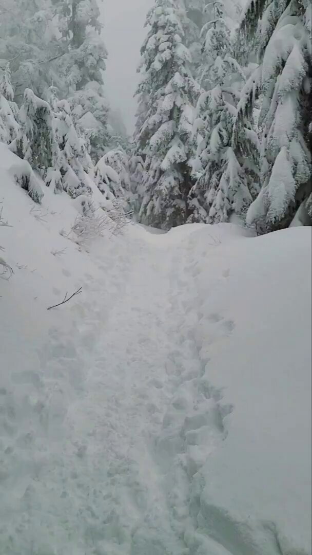 Chudai 🙊 #nsfw #性 #色情 #裸体 #裸照 #hentai #喷水 #阴部 #goon 